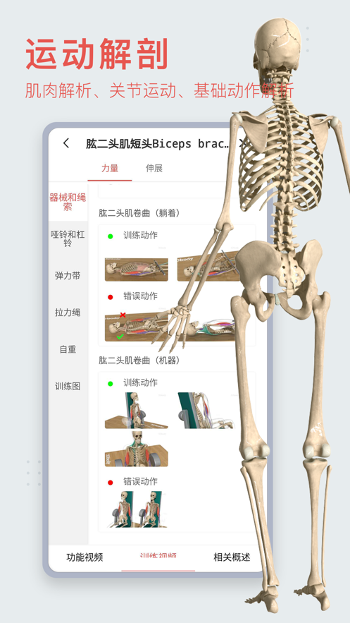 3dbody解剖图手机版截屏1
