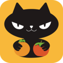 橙柿猫手机版