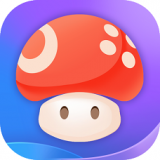 蘑菇云游戏新版