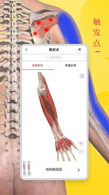 3dbody解剖学软件新版截屏2