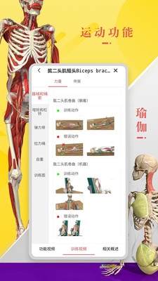 3dbody解剖学软件新版截屏3