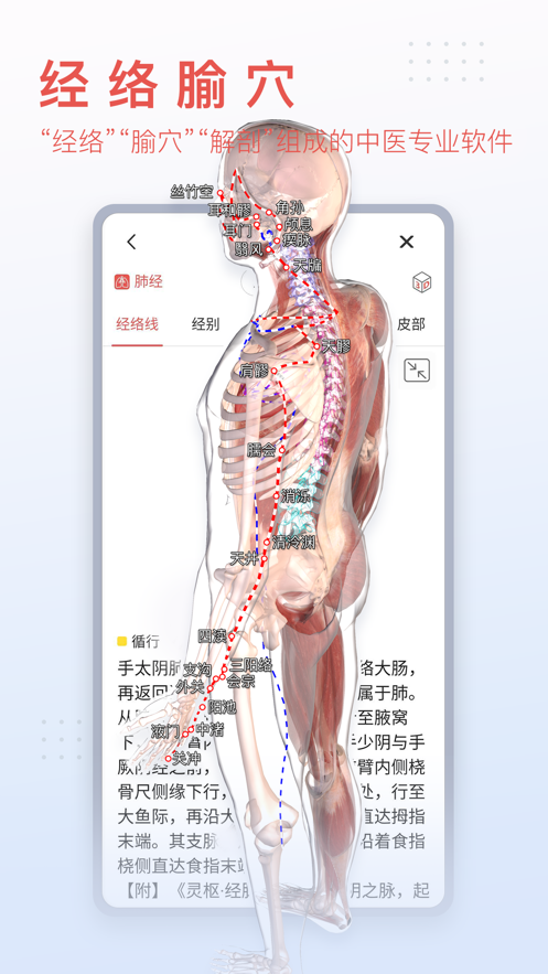 3dbody解剖图手机版截屏2